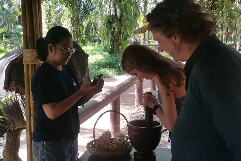 Elephant Care Experience