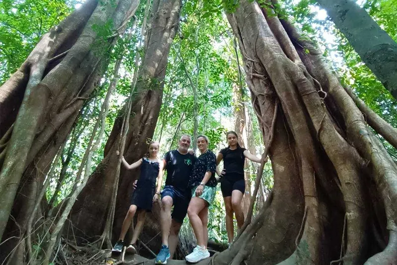 Jungle Hiking