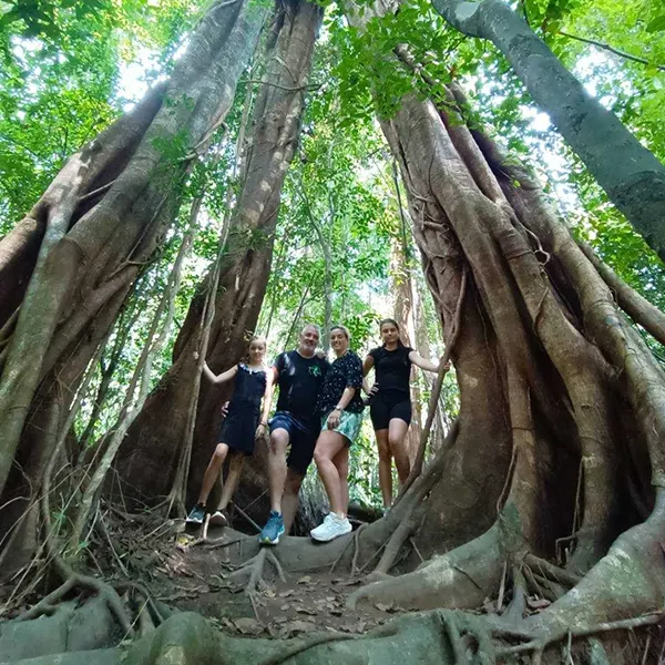 Jungle Hiking