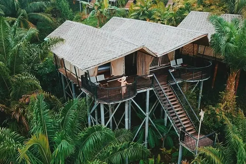 Exotic Top View 4, 5